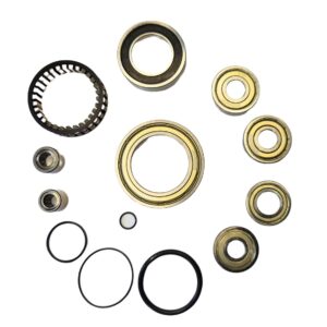 Beastbearin Service Kit for Bosch Motor gen4